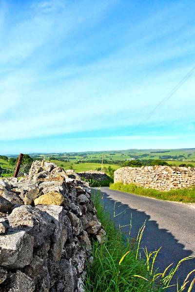 summer scene along a country road with a rock wall either side